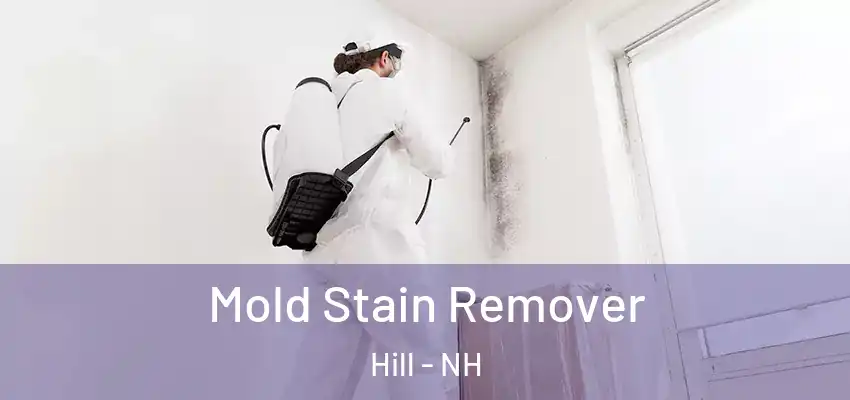  Mold Stain Remover Hill - NH