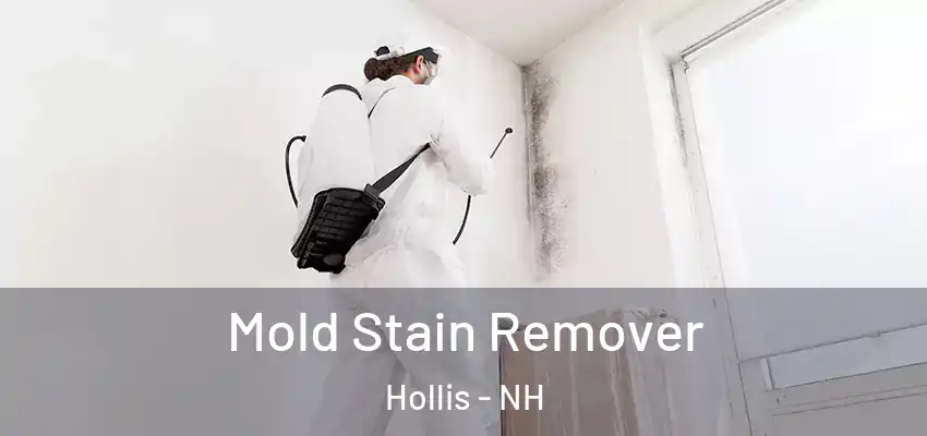  Mold Stain Remover Hollis - NH