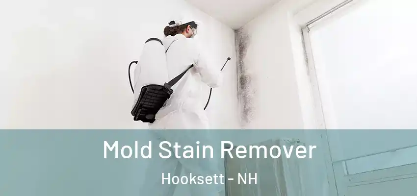  Mold Stain Remover Hooksett - NH