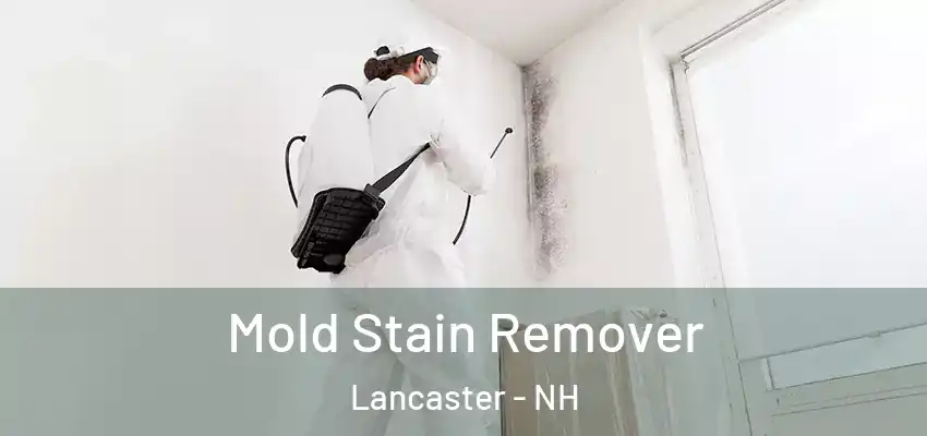 Mold Stain Remover Lancaster - NH
