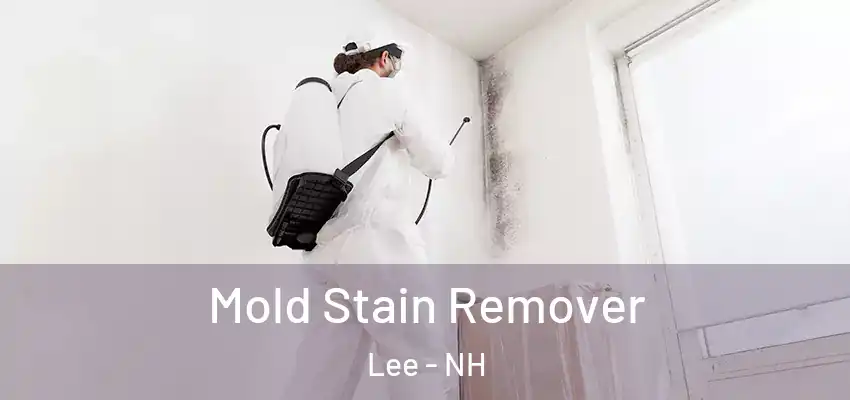  Mold Stain Remover Lee - NH