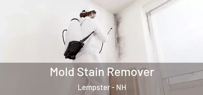  Mold Stain Remover Lempster - NH