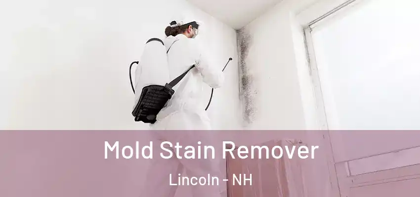 Mold Stain Remover Lincoln - NH