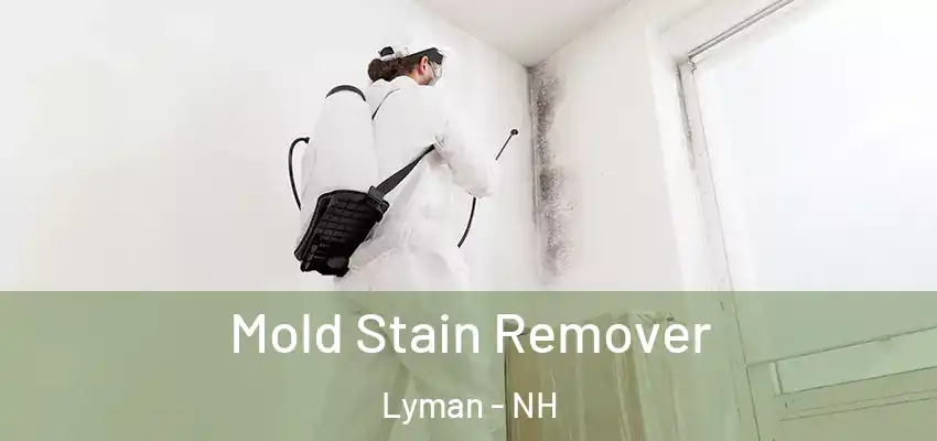  Mold Stain Remover Lyman - NH
