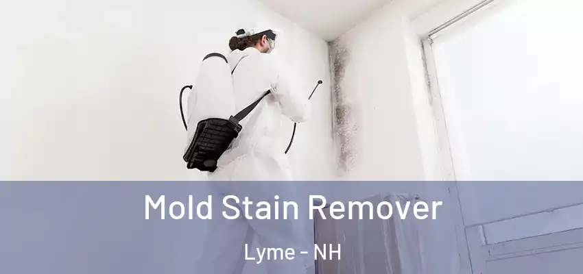 Mold Stain Remover Lyme - NH