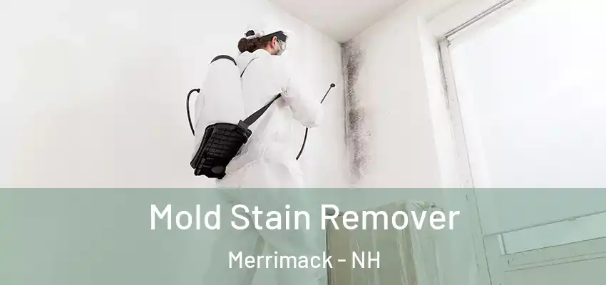  Mold Stain Remover Merrimack - NH