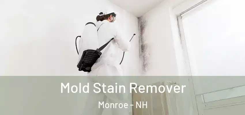 Mold Stain Remover Monroe - NH