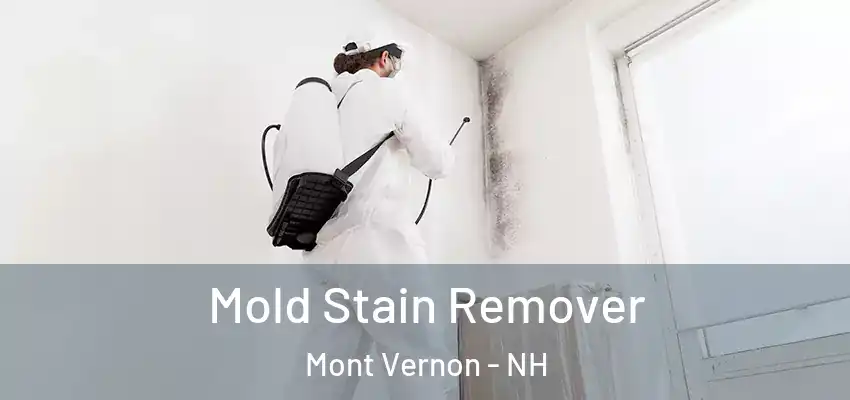  Mold Stain Remover Mont Vernon - NH