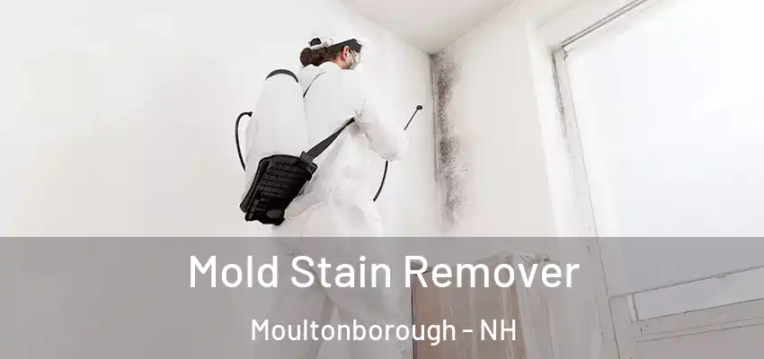 Mold Stain Remover Moultonborough - NH