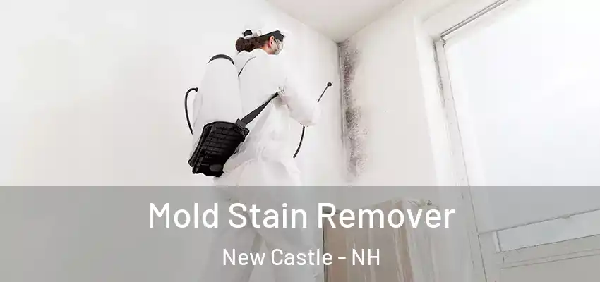  Mold Stain Remover New Castle - NH