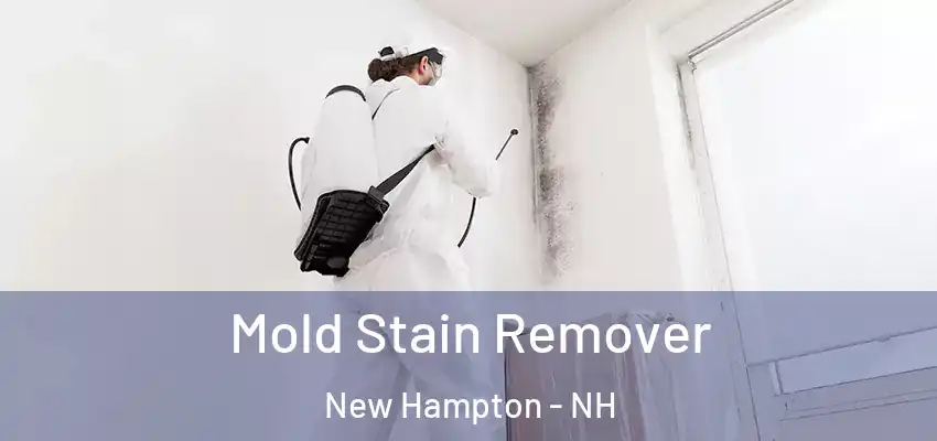 Mold Stain Remover New Hampton - NH