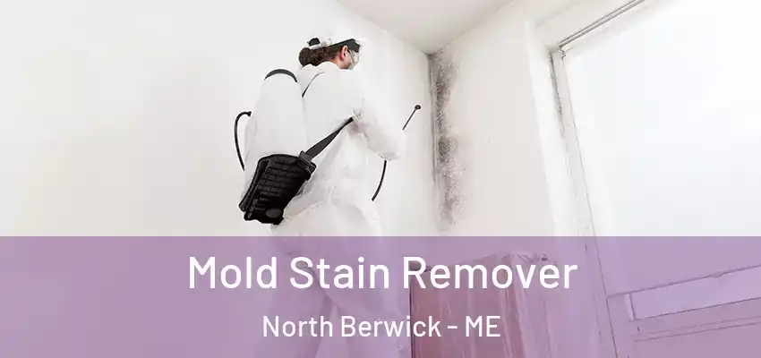  Mold Stain Remover North Berwick - ME
