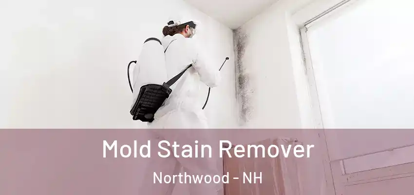  Mold Stain Remover Northwood - NH