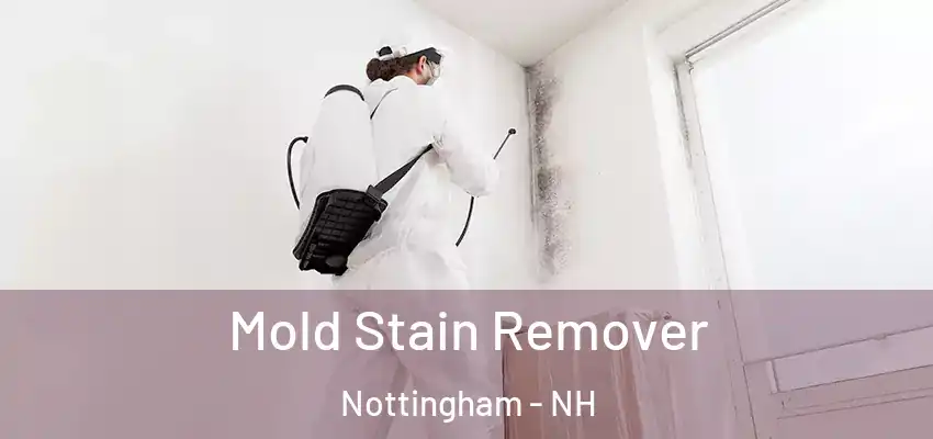  Mold Stain Remover Nottingham - NH