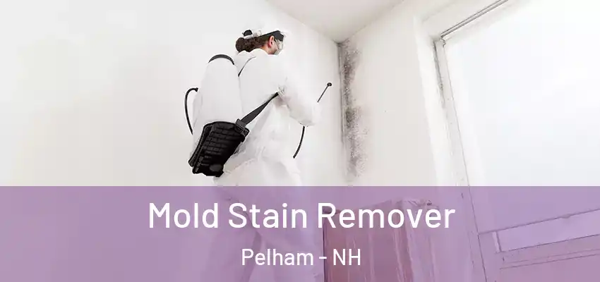  Mold Stain Remover Pelham - NH