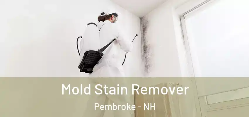  Mold Stain Remover Pembroke - NH