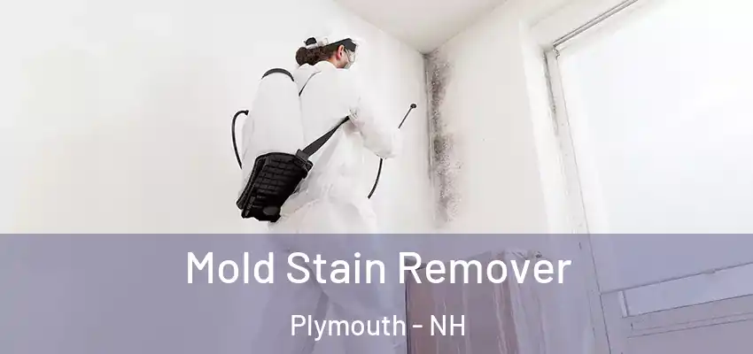 Mold Stain Remover Plymouth - NH