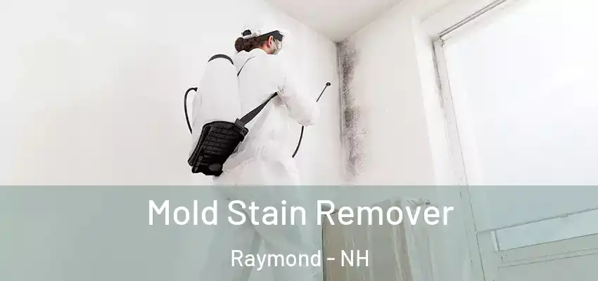  Mold Stain Remover Raymond - NH