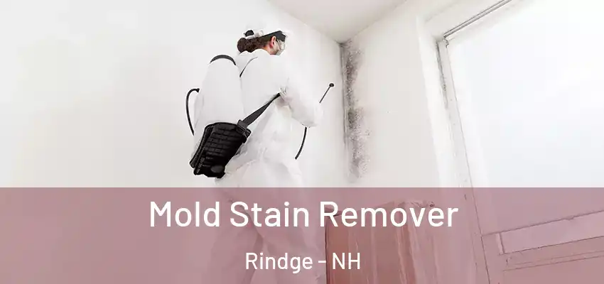  Mold Stain Remover Rindge - NH