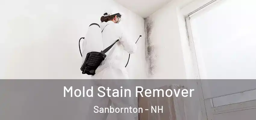 Mold Stain Remover Sanbornton - NH