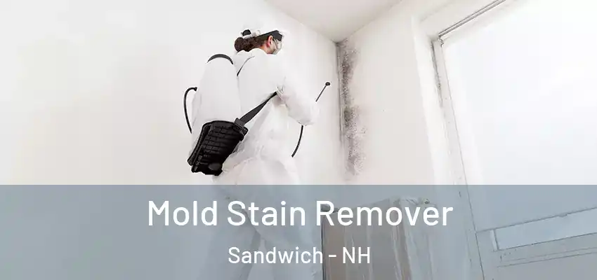 Mold Stain Remover Sandwich - NH