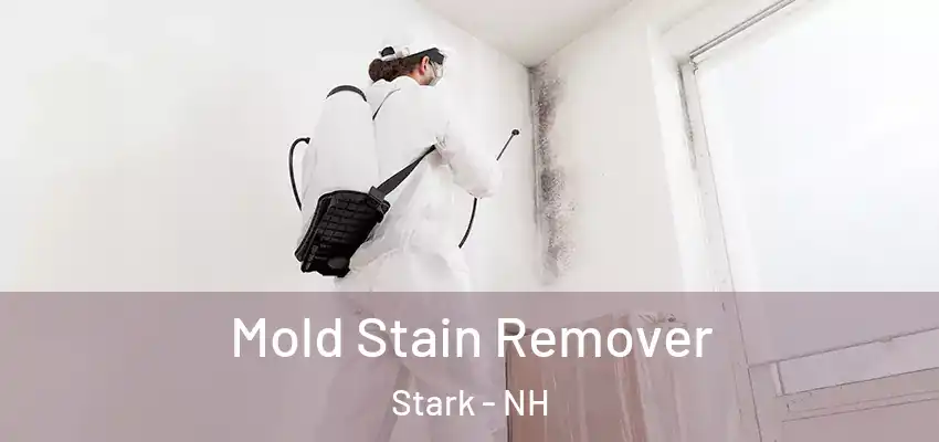 Mold Stain Remover Stark - NH