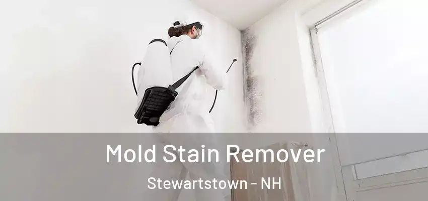 Mold Stain Remover Stewartstown - NH