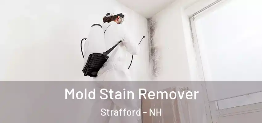  Mold Stain Remover Strafford - NH
