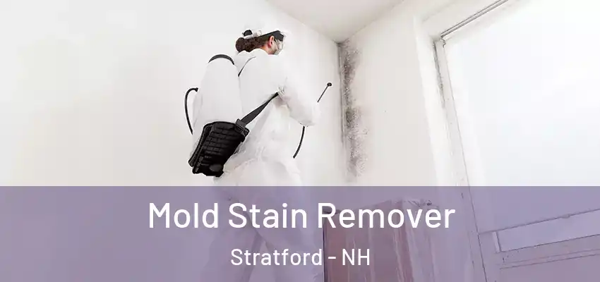 Mold Stain Remover Stratford - NH
