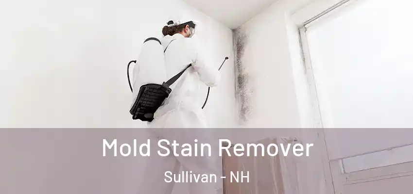  Mold Stain Remover Sullivan - NH