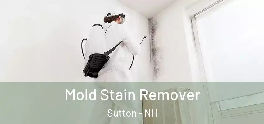  Mold Stain Remover Sutton - NH