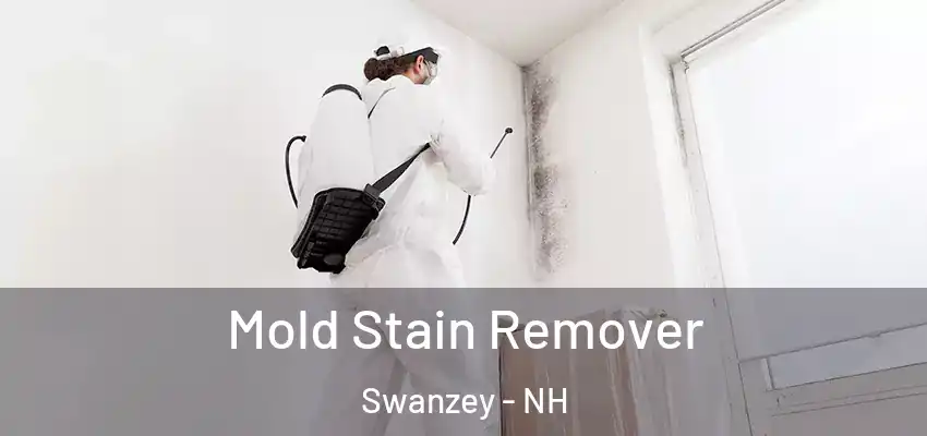  Mold Stain Remover Swanzey - NH