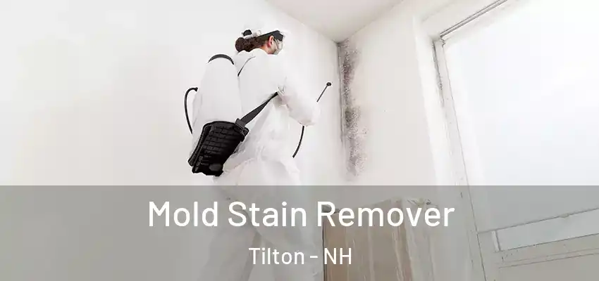  Mold Stain Remover Tilton - NH