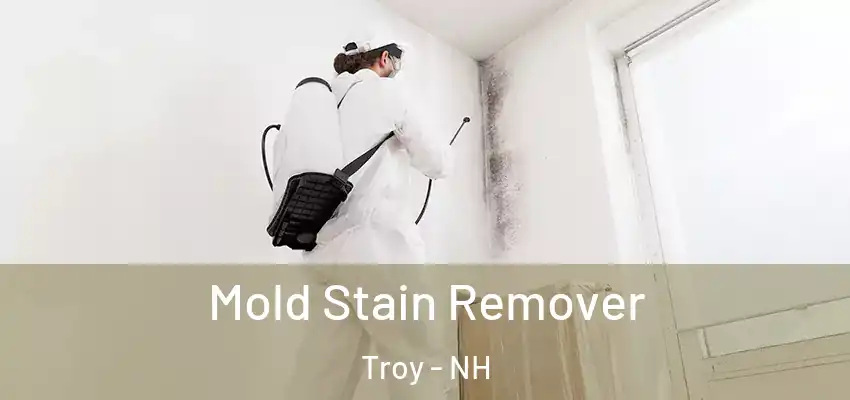  Mold Stain Remover Troy - NH