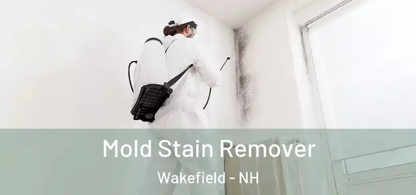 Mold Stain Remover Wakefield - NH