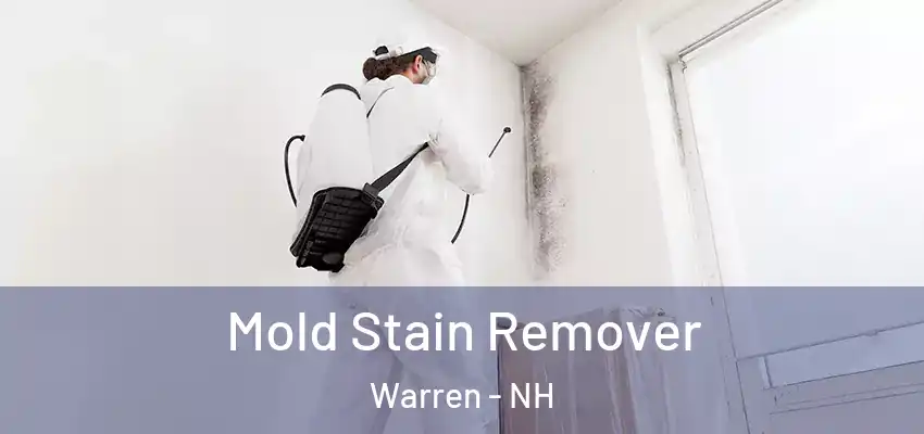  Mold Stain Remover Warren - NH