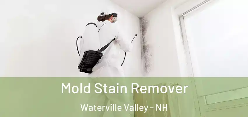  Mold Stain Remover Waterville Valley - NH