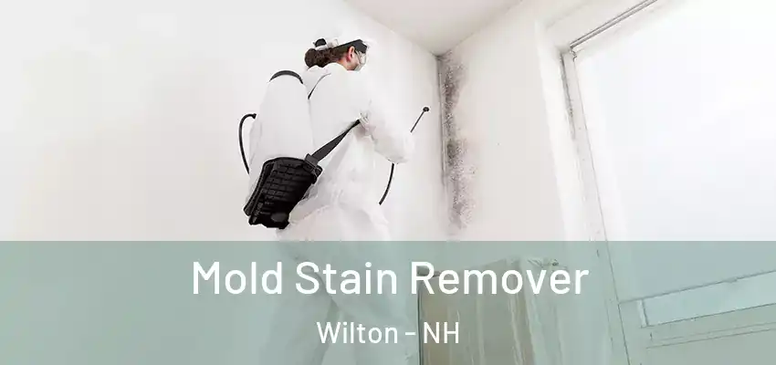 Mold Stain Remover Wilton - NH