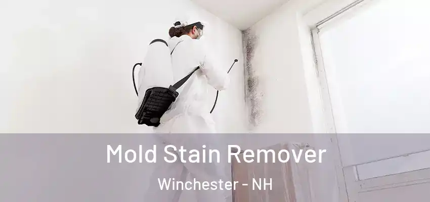  Mold Stain Remover Winchester - NH
