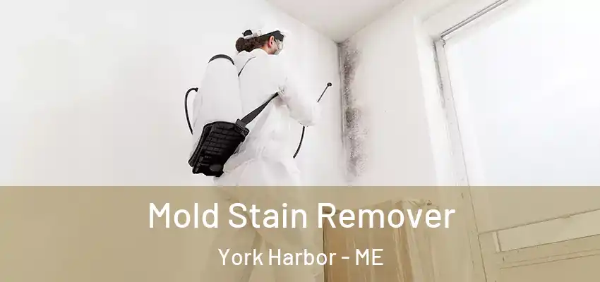 Mold Stain Remover York Harbor - ME