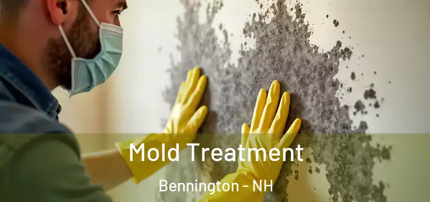 Mold Treatment Bennington - NH