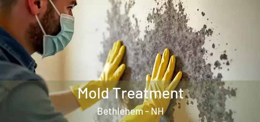 Mold Treatment Bethlehem - NH