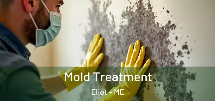  Mold Treatment Eliot - ME