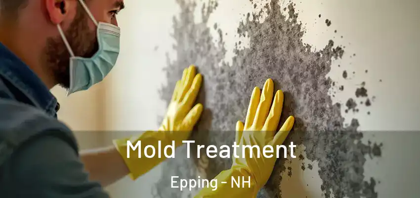  Mold Treatment Epping - NH