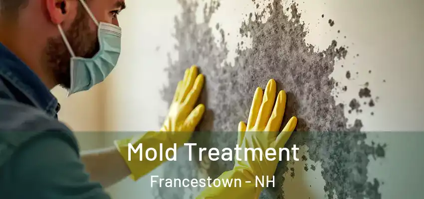  Mold Treatment Francestown - NH