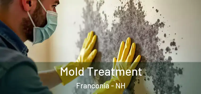  Mold Treatment Franconia - NH