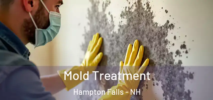  Mold Treatment Hampton Falls - NH