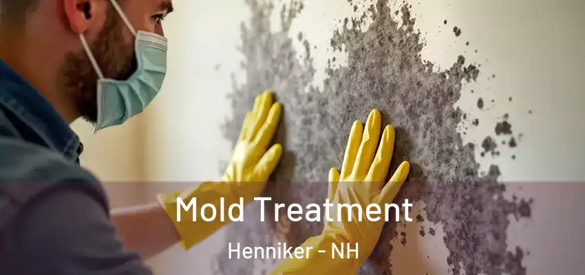  Mold Treatment Henniker - NH