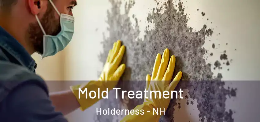 Mold Treatment Holderness - NH