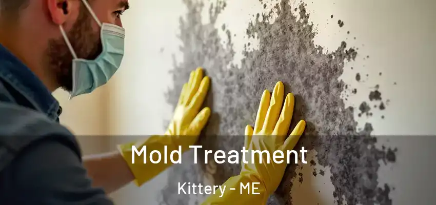  Mold Treatment Kittery - ME